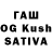 Псилоцибиновые грибы GOLDEN TEACHER Petrovitsh Ya